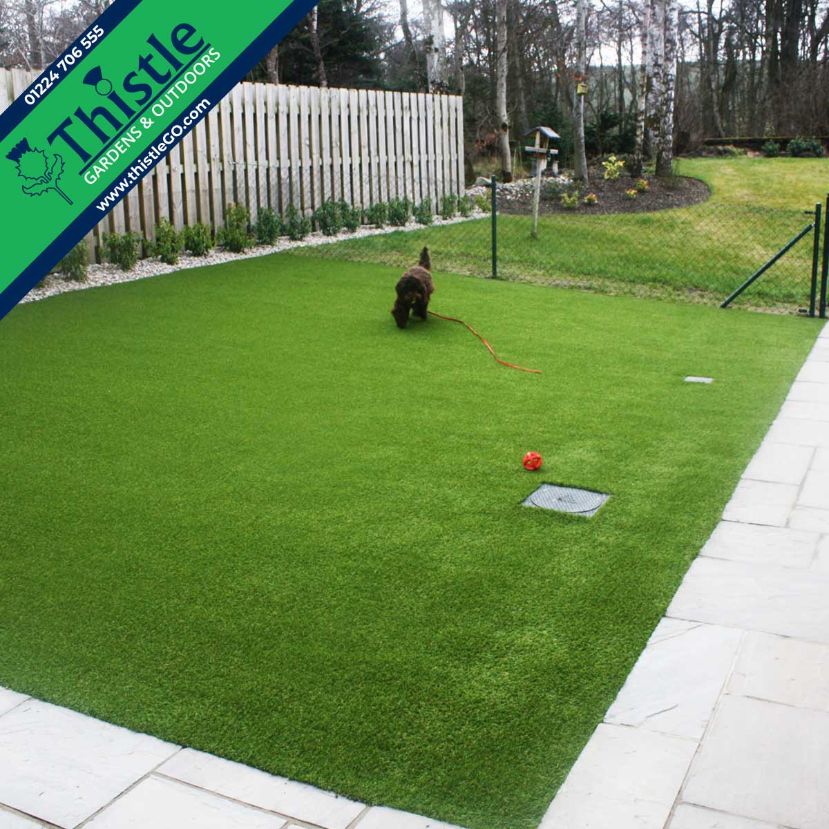 Thistle Artificial Grass Aberdeen, Aberdeenshire & North East Scotland: Pet Friendly Gardens