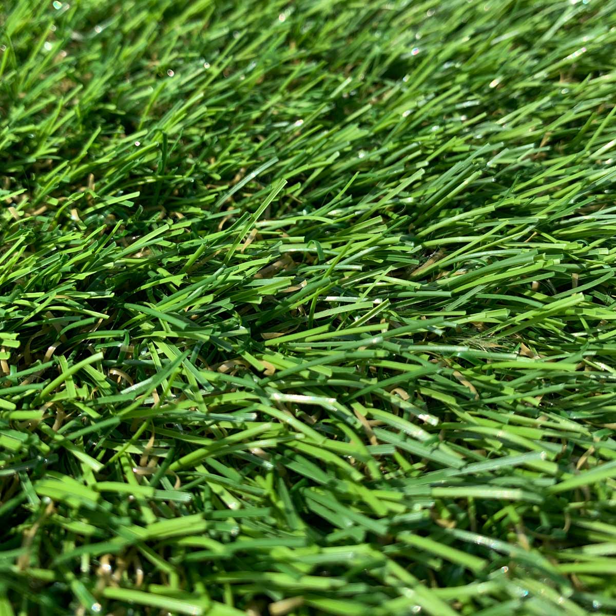 Thistle Artificial Grass: Cragievar (35mm)