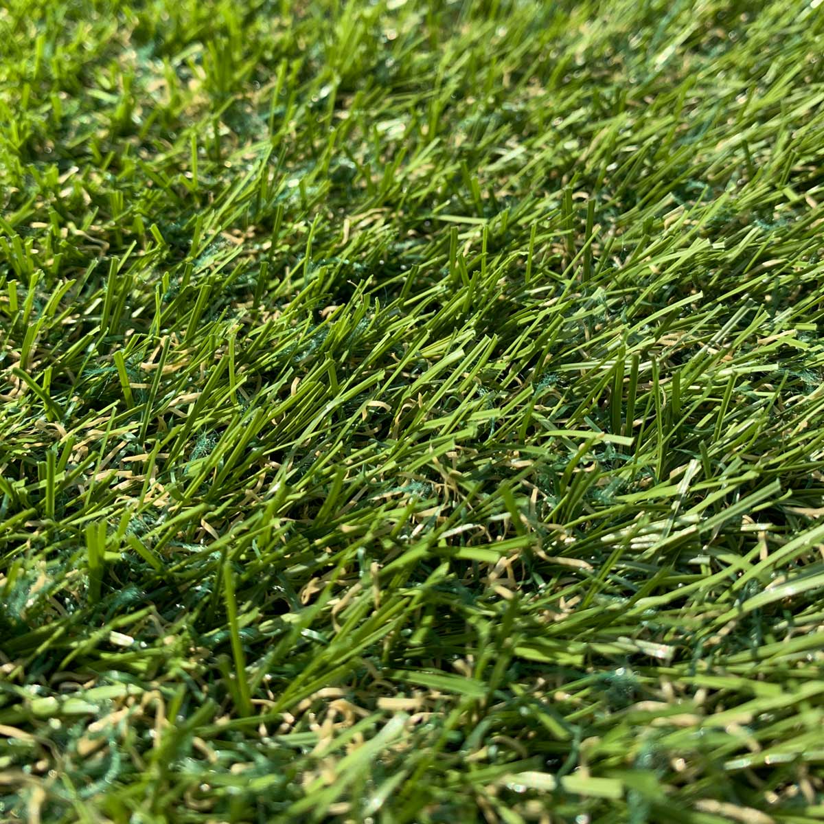 Thistle Artificial Grass Range: Fyvie 2019 (28mm)